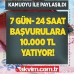 Anında Nakit Para İhtiyacınıza Çözüm Önerileri